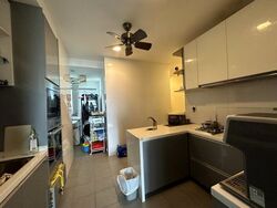 The Riverine By The Park (D12), Apartment #502653021